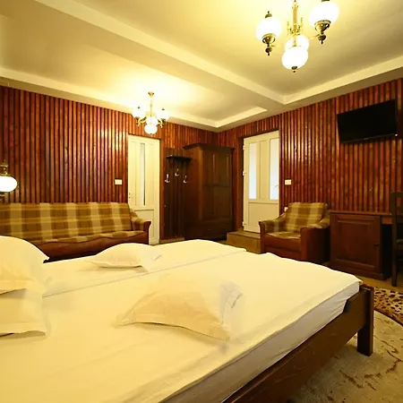 Guest house Pensiunea Sarmis Sarmizegetusa